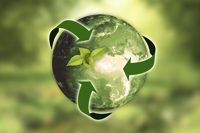 Компания 'Зеленый щит', экологический аутсорсинг, экологическое сопровождение (https://pixabay.com/ru/illustrations/природа-земля-устойчивость-лист-3294632/)